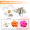 3 Pieces Hawaiian Flower Hair Clips Plumeria Hibiscus Hair Clip 3.5 Inch